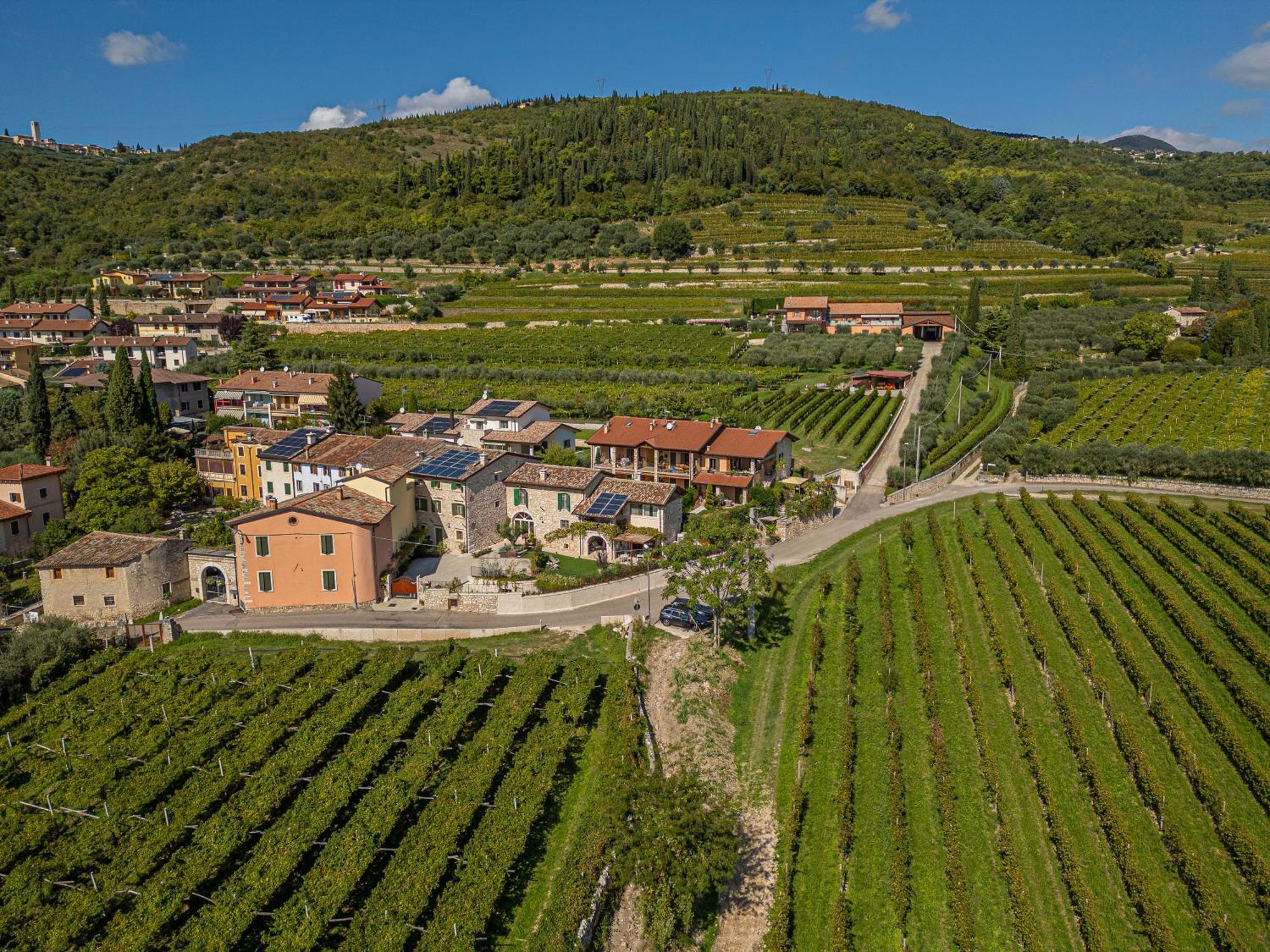 Corte Formigar SantʼAmbrogio di Valpolicella Εξωτερικό φωτογραφία