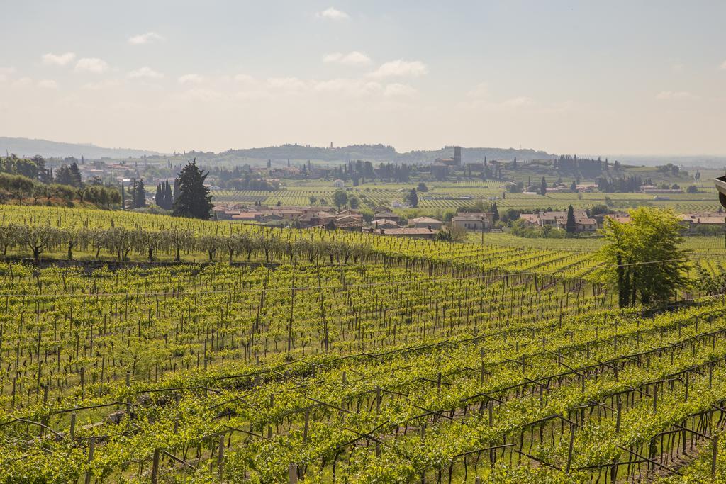 Corte Formigar SantʼAmbrogio di Valpolicella Εξωτερικό φωτογραφία